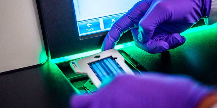 Inivita lab